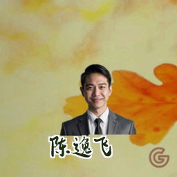 陈逸飞
